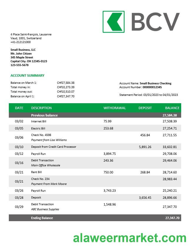 BCV Bank company account statement Word and PDF template